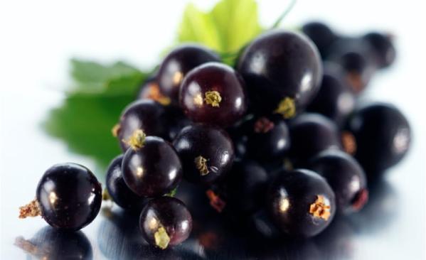 food and depression, blackcurrants