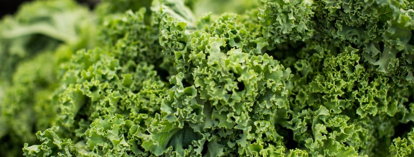 health benefits of kale