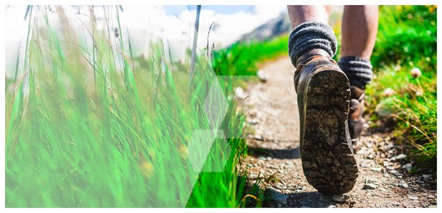 how to lower cholesterol